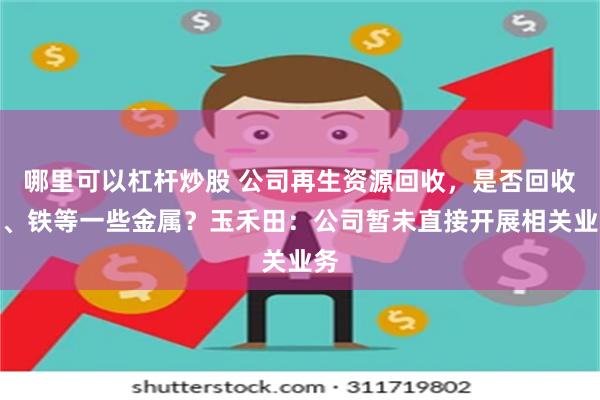 哪里可以杠杆炒股 公司再生资源回收，是否回收铜、铁等一些金属？玉禾田：公司暂未直接开展相关业务