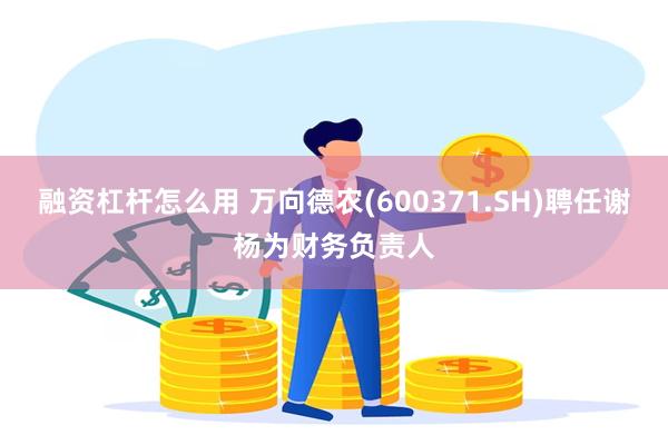 融资杠杆怎么用 万向德农(600371.SH)聘任谢杨为财务负责人