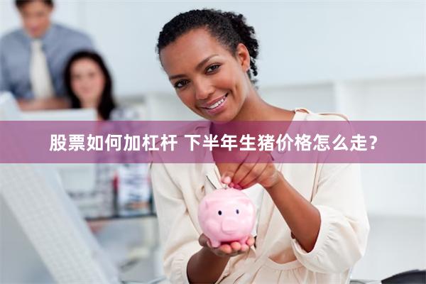 股票如何加杠杆 下半年生猪价格怎么走？