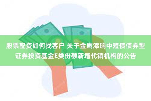 股票配资如何找客户 关于金鹰添瑞中短债债券型证券投资基金E类份额新增代销机构的公告