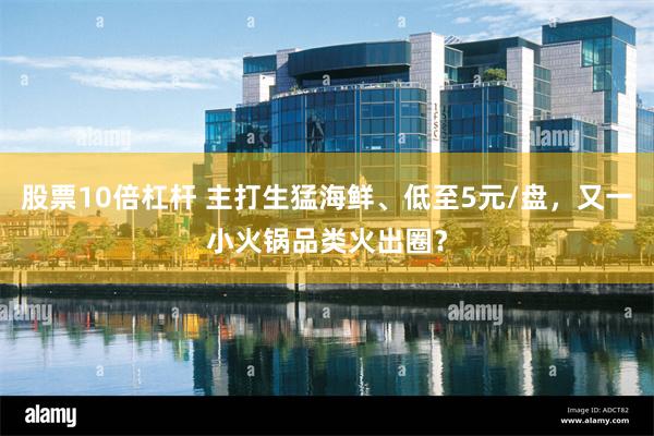 股票10倍杠杆 主打生猛海鲜、低至5元/盘，又一小火锅品类火出圈？