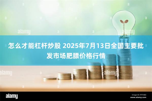 怎么才能杠杆炒股 2025年7月13日全国主要批发市场肥膘价格行情