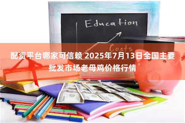 配资平台哪家可信赖 2025年7月13日全国主要批发市场老母鸡价格行情