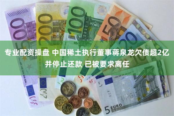 专业配资操盘 中国稀土执行董事蒋泉龙欠债超2亿并停止还款 已被要求离任