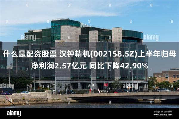 什么是配资股票 汉钟精机(002158.SZ)上半年归母净利润2.57亿元 同比下降42.90%