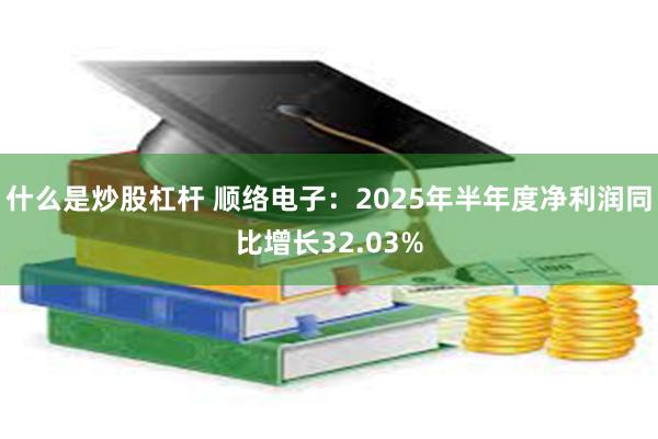 什么是炒股杠杆 顺络电子：2025年半年度净利润同比增长32.03%