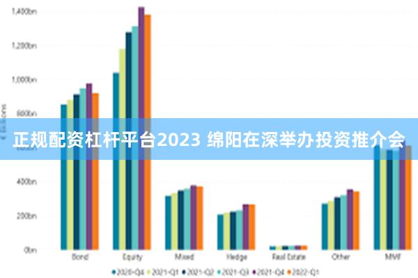 正规配资杠杆平台2023 绵阳在深举办投资推介会