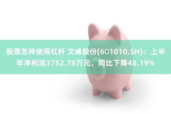 股票怎样使用杠杆 文峰股份(601010.SH)：上半年净利润3752.78万元，同比下降48.19%